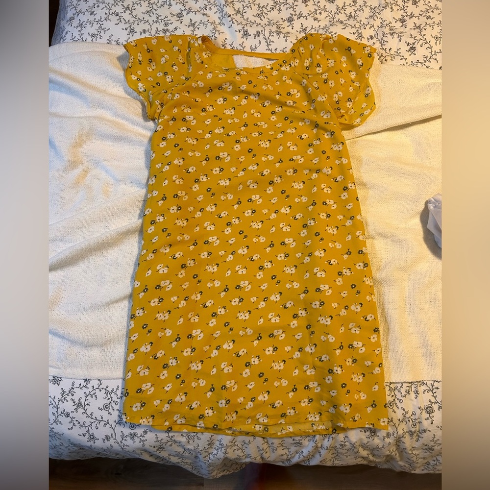 Abercrombie and Fitch Flutter Sleeve Dress